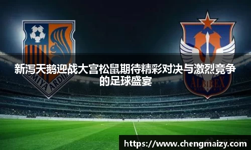 新泻天鹅迎战大宫松鼠期待精彩对决与激烈竞争的足球盛宴